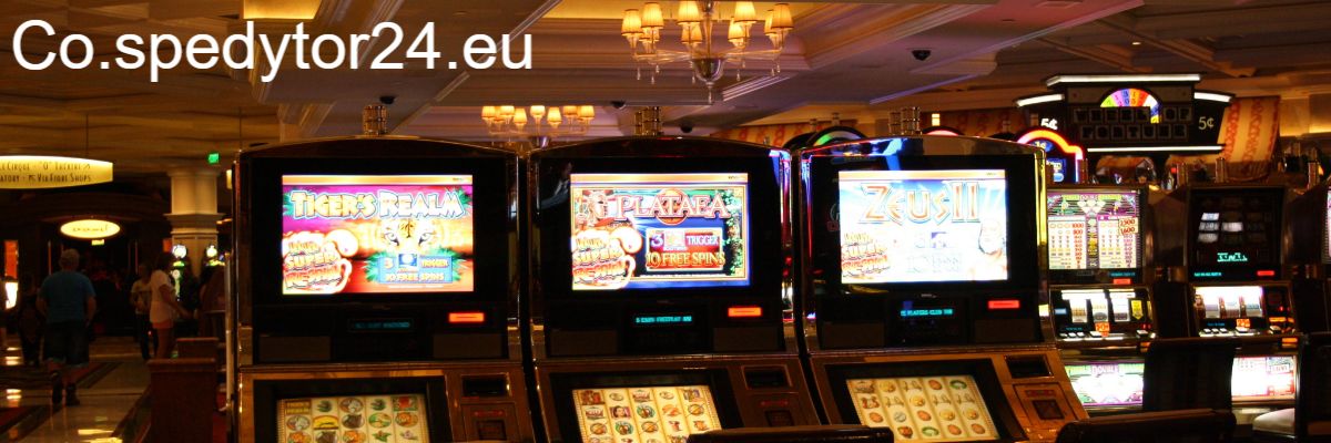 co.spedytor24.eu